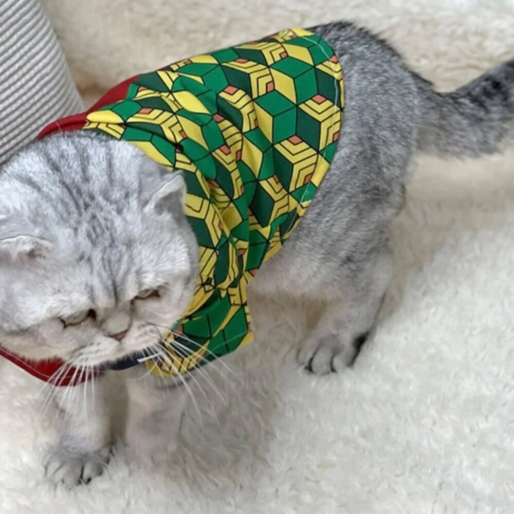 Anime pet costume Size Large